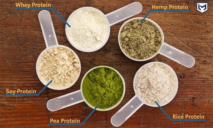 Five scoops of protein powder placed in a circle, labeled whey protein, soy protein, pea protein, rice protein, and hemp protein.