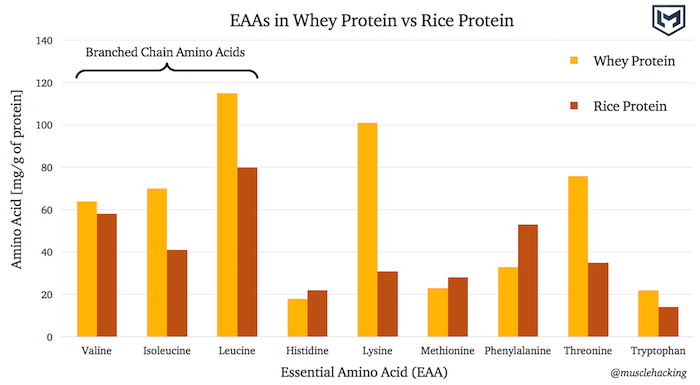 Whey Protein Comparison Chart